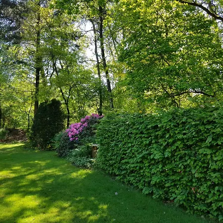 Knusse 5 Persoons Bungalow Hartje Veluwe Otterlo Exterior foto