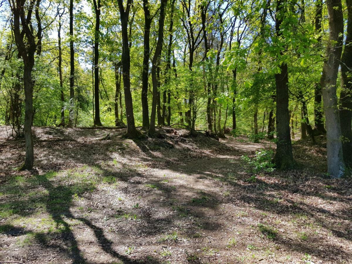 Appartement Knusse 5 Persoons Hartje Veluwe