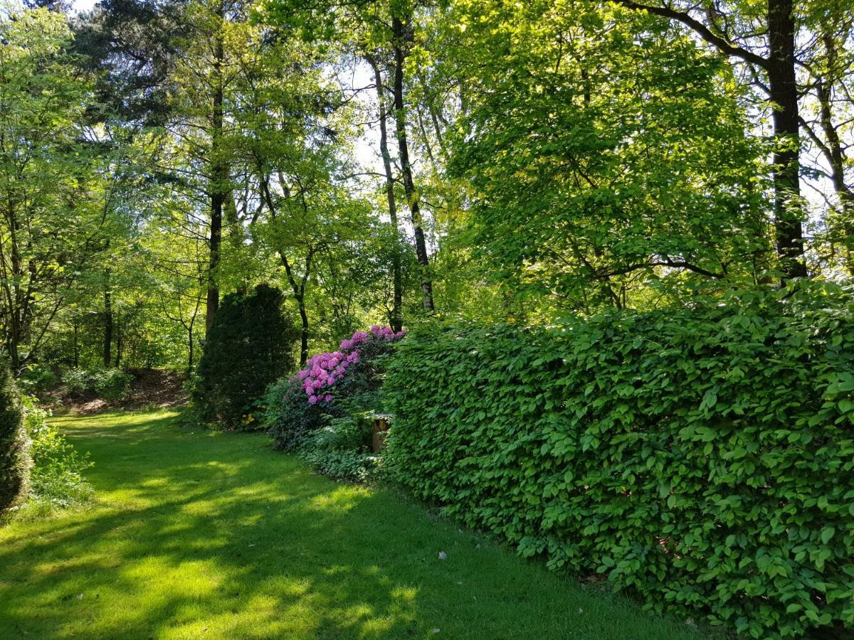 Knusse 5 Persoons Hartje Veluwe *